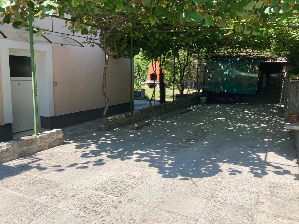 דירות לוסיה Apartma Mari מראה חיצוני תמונה
